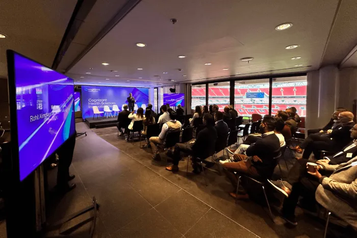 Large Display Screens
